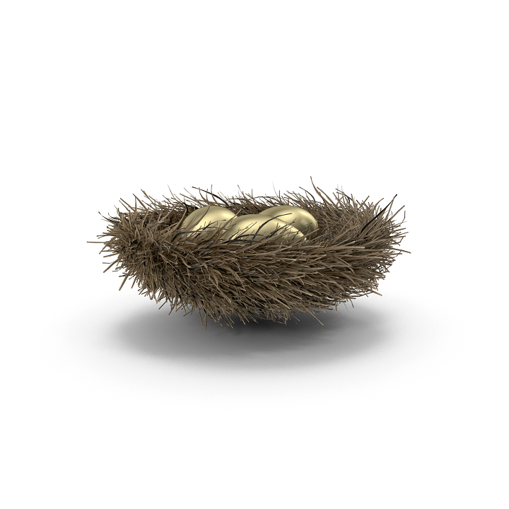 Nest with 3 Gold Eggs.H03.2k